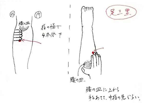 足三里